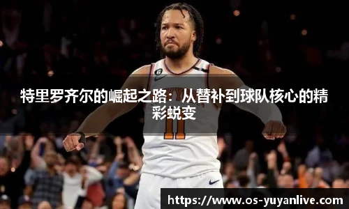 雨燕直播