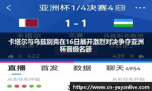 雨燕体育直播