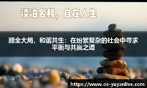 雨燕直播