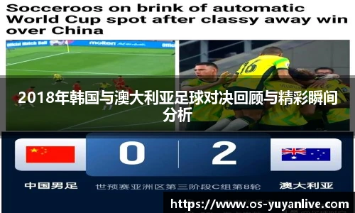 雨燕体育直播