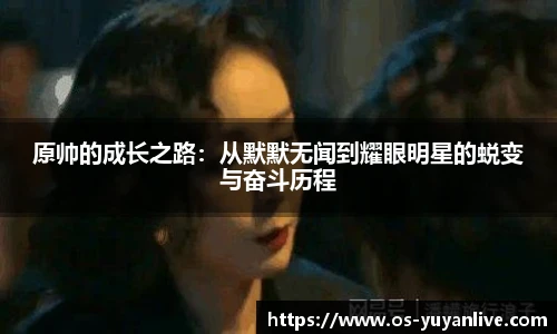 雨燕直播