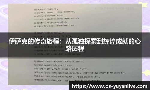 雨燕高清直播